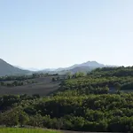 Colle Del Lupo *
