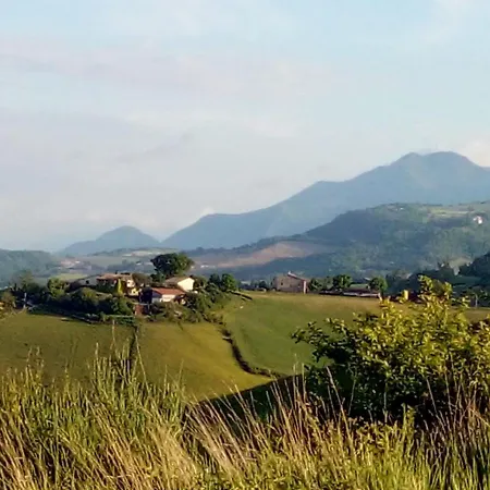 Colle Del Lupo *