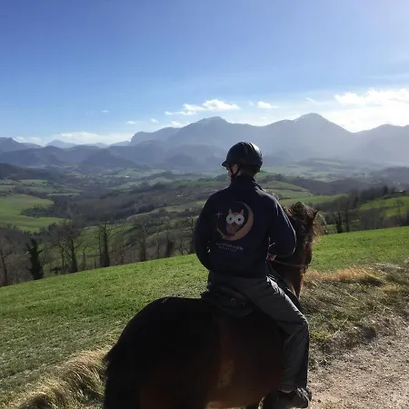 Appartement Colle Del Lupo *