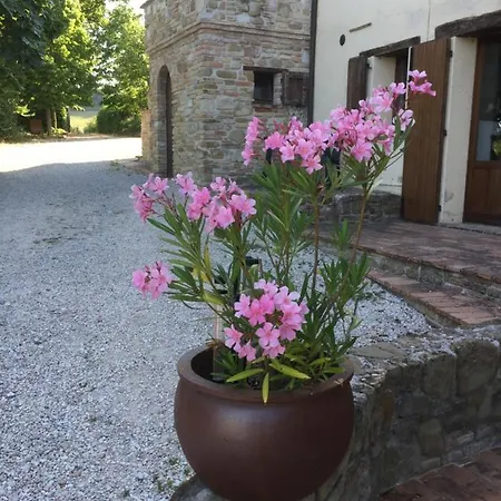 Colle Del Lupo Appartement *