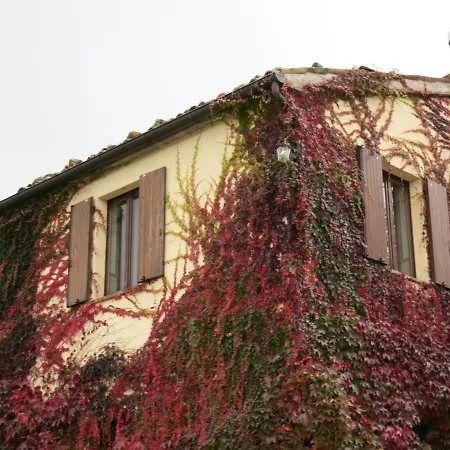 Colle Del Lupo Pergola