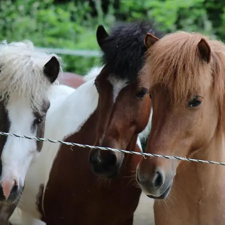 Appartement Colle Del Lupo