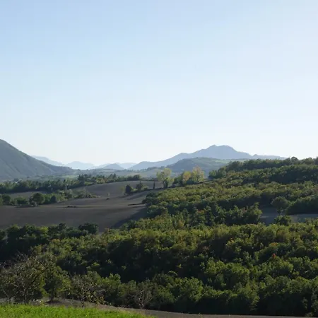 Colle Del Lupo *